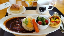スナネコに会い...