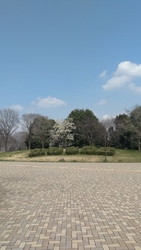 娘を誘い13時...