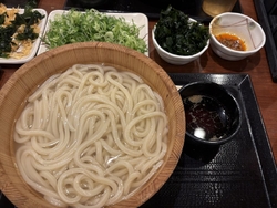 １日は釜揚げう...