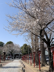 小山市の中心部...