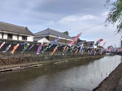 今年も、“こい...