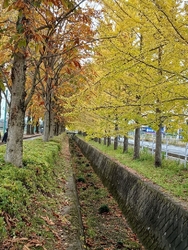 夏の暑い時期は...