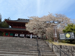 輪王寺にある金...