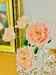 同じ種類なのに...