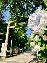 今朝は、早起き...