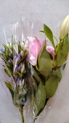 平日午後訪問。...