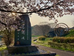 朝のウォーキン...