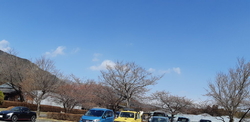 今の時期は、ま...