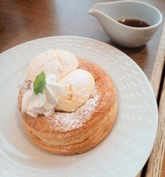 メイプルココッ...