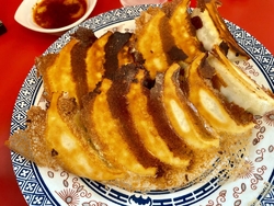 焼き餃子2人前...