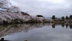 平日お昼頃訪問...