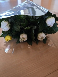 お昼過ぎに伺い...