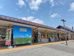 今、夏野菜が沢...