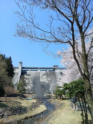 今日は、4月３...