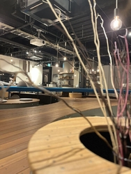 今回で2度目の...