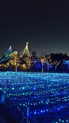 そうだ!‼きっ...