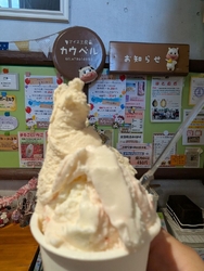 久しぶりに大好...