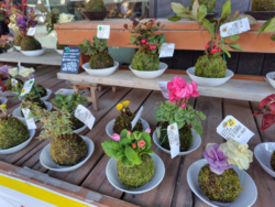 久しぶりに行き...