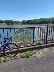 水晶湖を自転車...