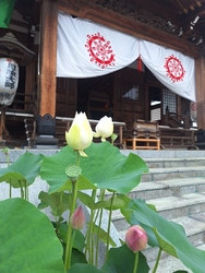 この時期恒例の...