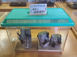 休止している施...
