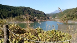 栃木県に住んで...