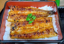 平日午後初訪問...