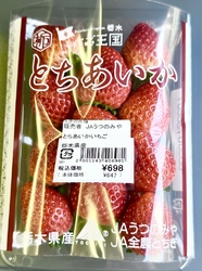 宇都宮パセオの...