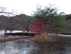 早朝、駐車場か...