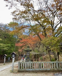 温泉神社。熊ち...