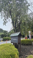家族で泊まりに...
