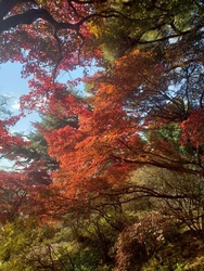 お昼休みに少し...