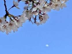 夕日を浴びなが...