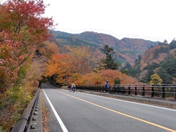 紅葉時期を迎え...