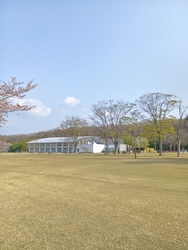 桜が散ってしま...