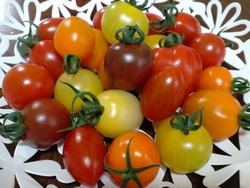 昨年出会ったこ...