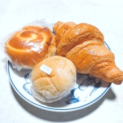 母の用事で宇都...