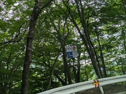 いろはにほへと...