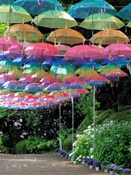 1日雨だと思っ...