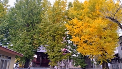 平日午後参拝。...