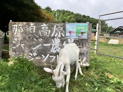 動物たちに会い...