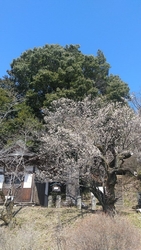 車で近くを通っ...