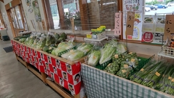 鹿沼からの帰り...