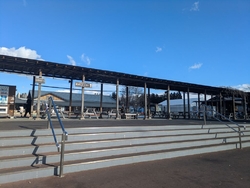 チケットをいた...