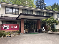 神様が可愛い猫...