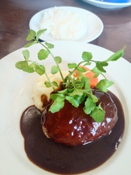 お気に入りのフ...