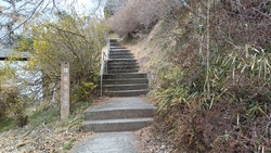 ランチ後、近く...