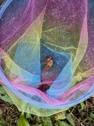 この日はとても...