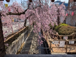 オリオン通りま...