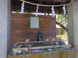 久し振りに参拝...